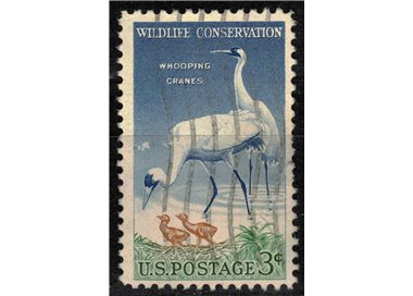 USA 1957 Protezione della fauna us