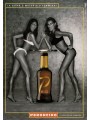 CARTOLINA PUBBLICITARIA PROMOCARD PC 3811