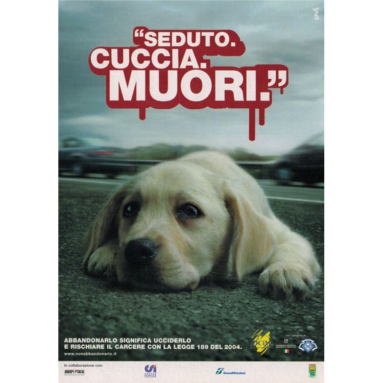 CARTOLINA PUBBLICITARIA PROMOCARD PC 5629