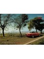 PROMOCARD PC 4264 ADVERTISING POSTCARD