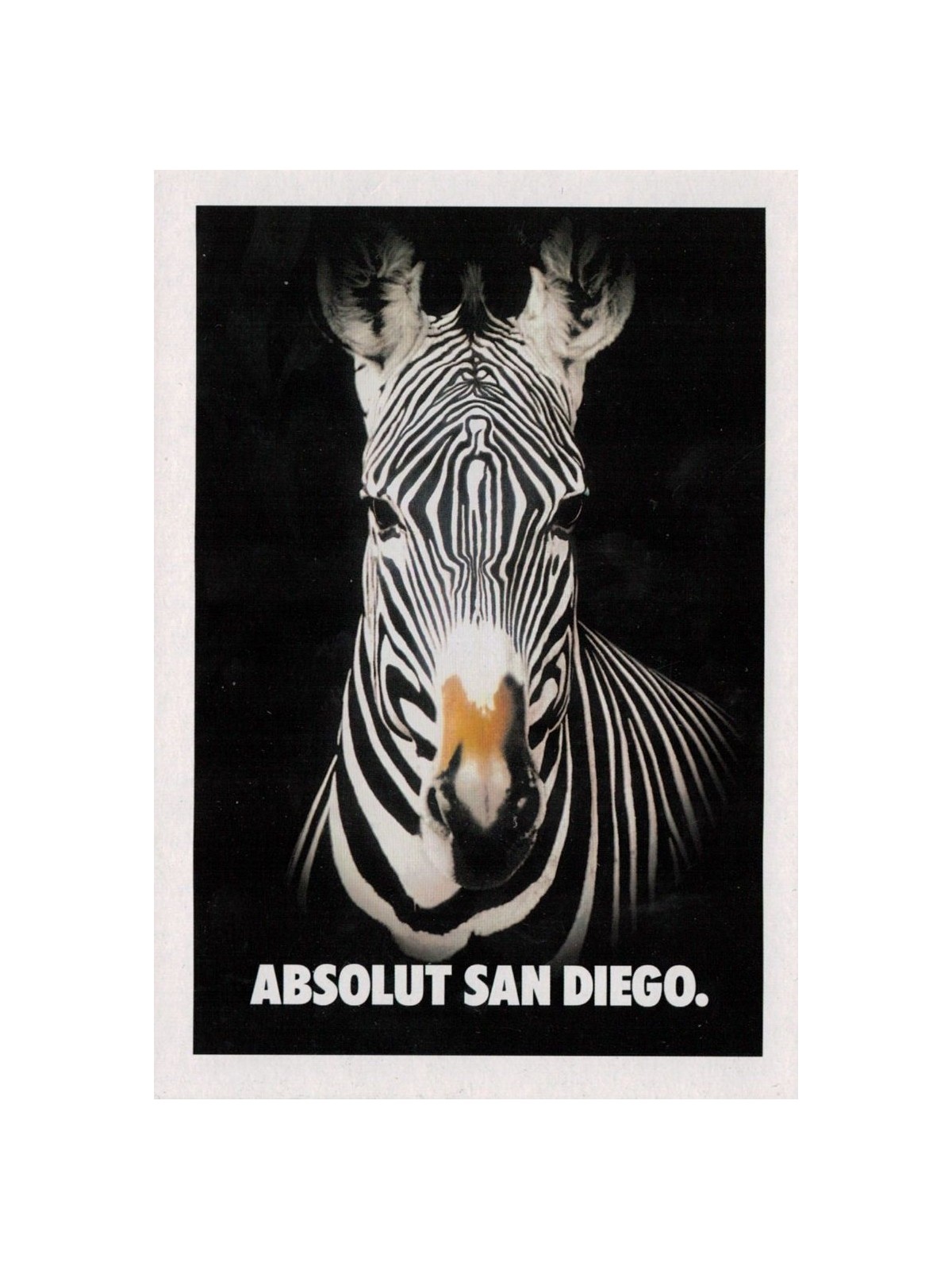 PROMOCARD PC 4580 ADVERTISING POSTCARD