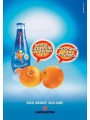 CARTOLINA FREECARDS N° 569 SANPELLEGRINO