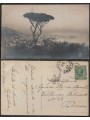 REGNO 1909 CARTOLINA VIAGGIATA NAPOLI PANORAMA