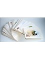 ITALY 1983 Collection of 124 postcards for philatelic offices