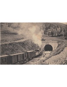 CARTOLINA Limone (Valle Vermenagna), treno che imbocca la galleria