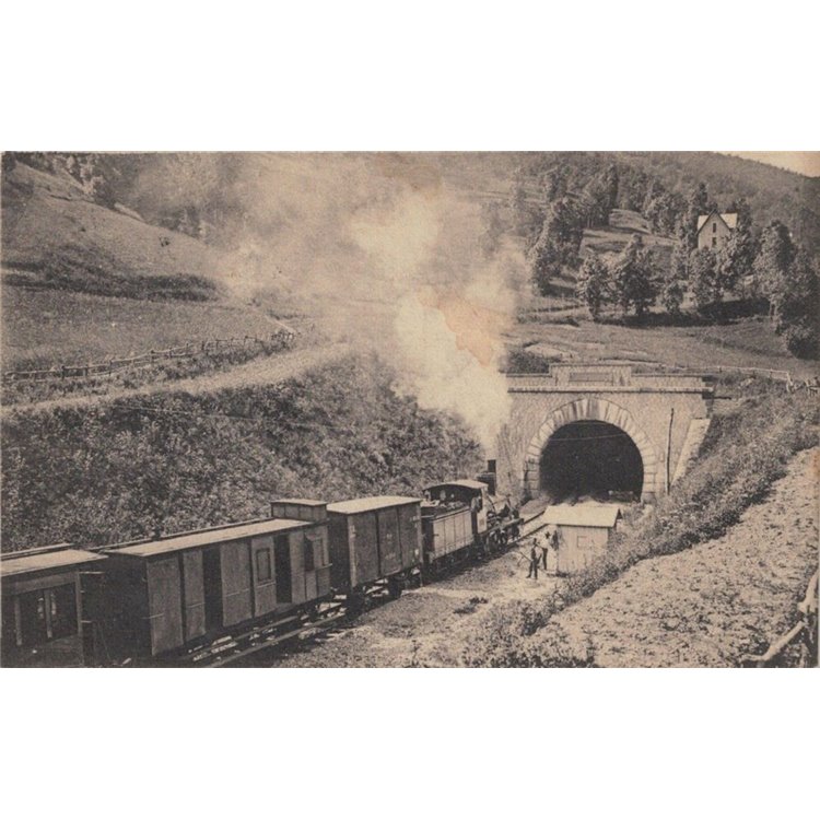 CARTOLINA Limone (Valle Vermenagna), treno che imbocca la galleria