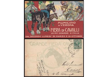 POSTCARD Great Horse Fair (Verona 1913)