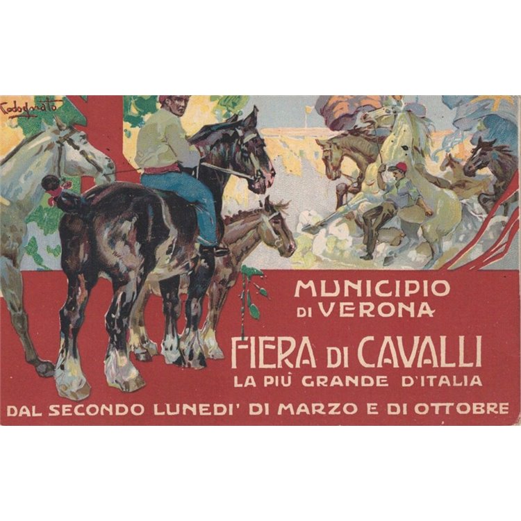 CARTOLINA Grande Fiera di Cavalli (Verona 1913)