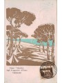 CARTOLINA Campo Mussolini, Colonie Estive dei Fasci Italiani all'Estero (1931)