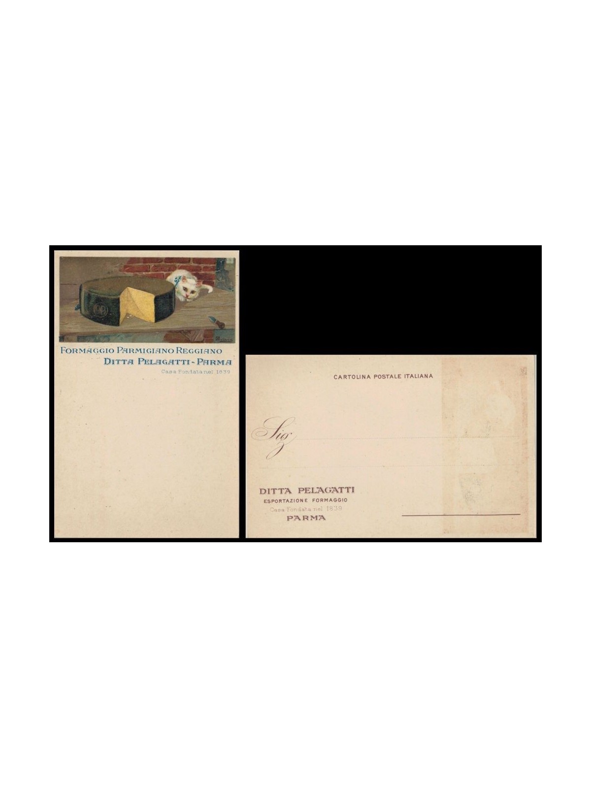 Postcard Parmigiano Reggiano Cheese, Pelagatti Company (Parma)
