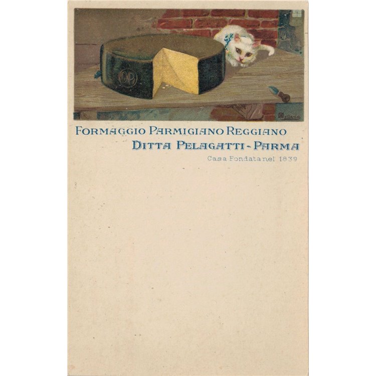 CARTOLINA Formaggio Parmigiano Reggiano, Ditta Pelagatti (Parma)