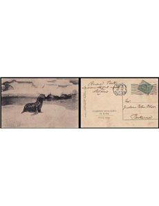 POSTCARD Zoological Garden of Rome