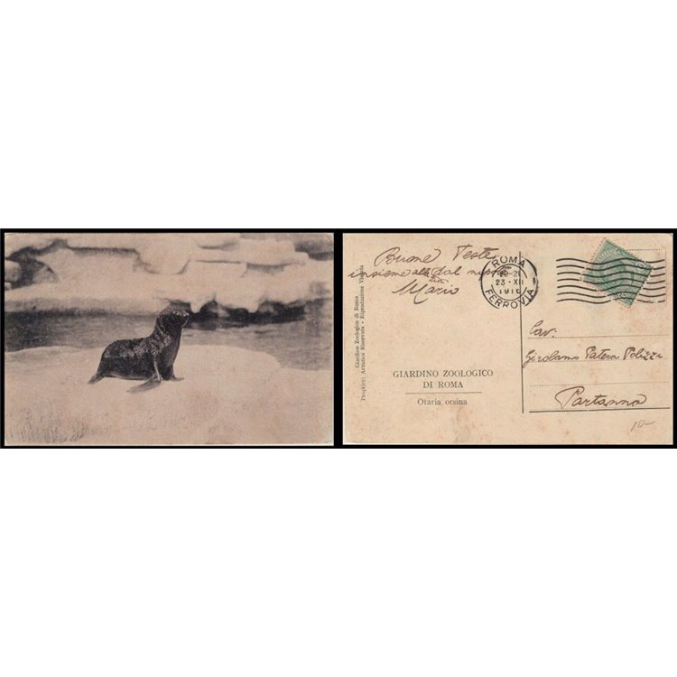 POSTCARD Zoological Garden of Rome