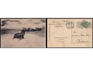 POSTCARD Zoological Garden of Rome