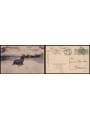 POSTCARD Zoological Garden of Rome