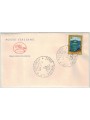 FDC ITALIA 1973 Istituto idrografico 1 Busta Cavallino nv