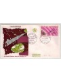 FDC CENTRAL AFRICAN REPUBLIC 1966 Conquest of Space, Satellite D1