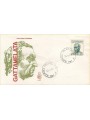 ITALIA 1970 FDC (Venetia) Gattamelata na