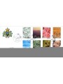 FDC SAN MARINO 2002 The colors of life 1 envelope nv