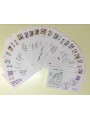 ITALY 1980 FDC (Venetia) Castles of Italy 27 Covers Venetia ord