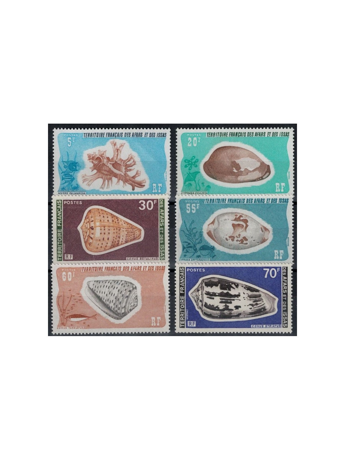 AFARS E ISSAS 1976-77 Conchiglie 6v MNH**
