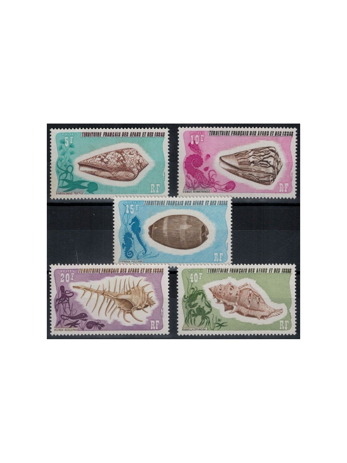AFARS E ISSAS 1975 Conchiglie 5v MNH**