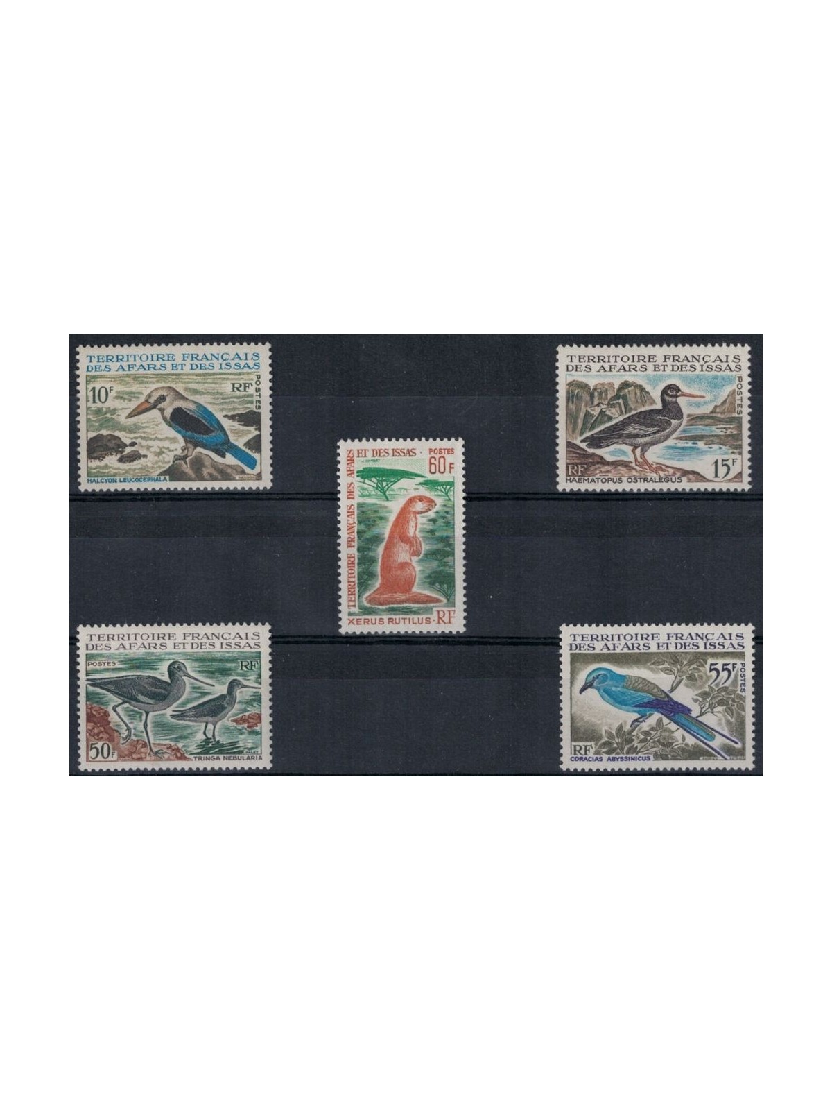 AFARS E ISSAS 1967 Uccelli e mammiferi 5v MNH**