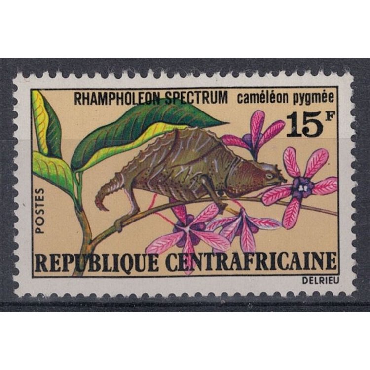 AFRICA CENTRALE 1973 Camaleonte pigmeo MNH**
