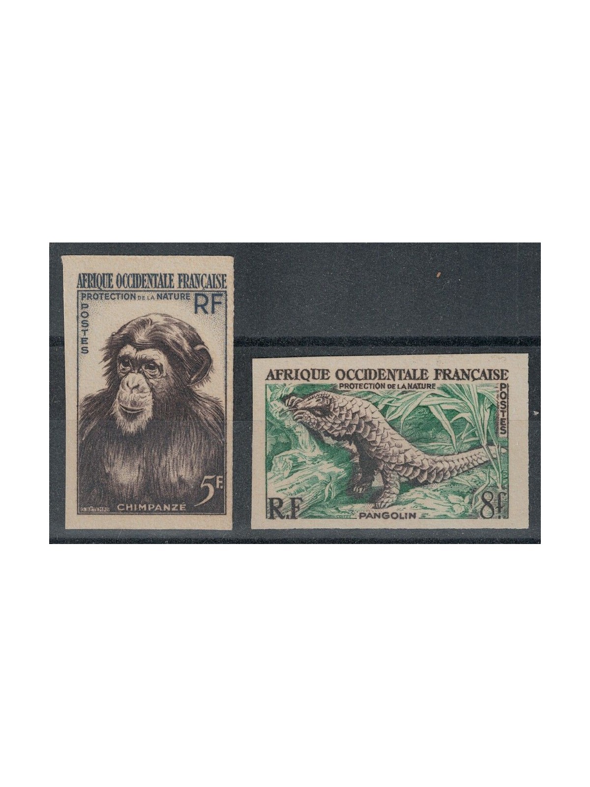 AFRICA OCCIDENTALE FRANCESE 1955 Protezione della natura 2v MH*