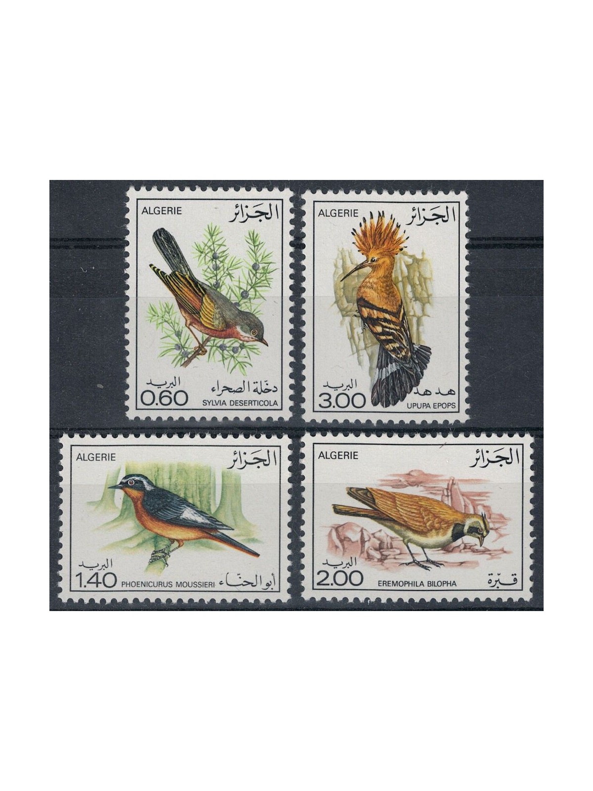 ALGERIA 1977 Fauna, birds 4v MNH**