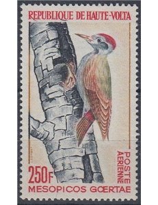 ALTO VOLTA 1964 Uccelli, Mesopicos goertae 1v MNH**