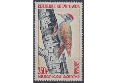 ALTO VOLTA 1964 Birds, Mesopicos goertae 1v MNH**