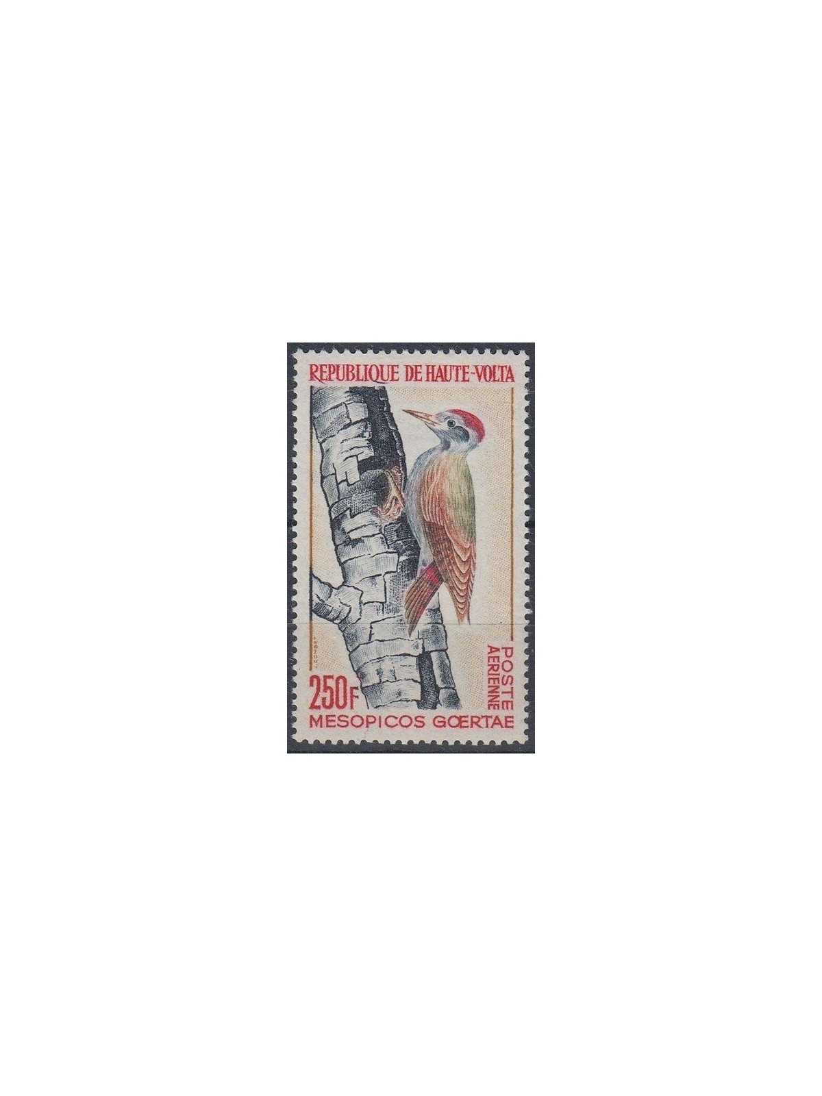 ALTO VOLTA 1964 Birds, Mesopicos goertae 1v MNH**