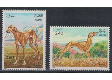 ALGERIA 1983 Fauna, levrieri africani 2v MNH**
