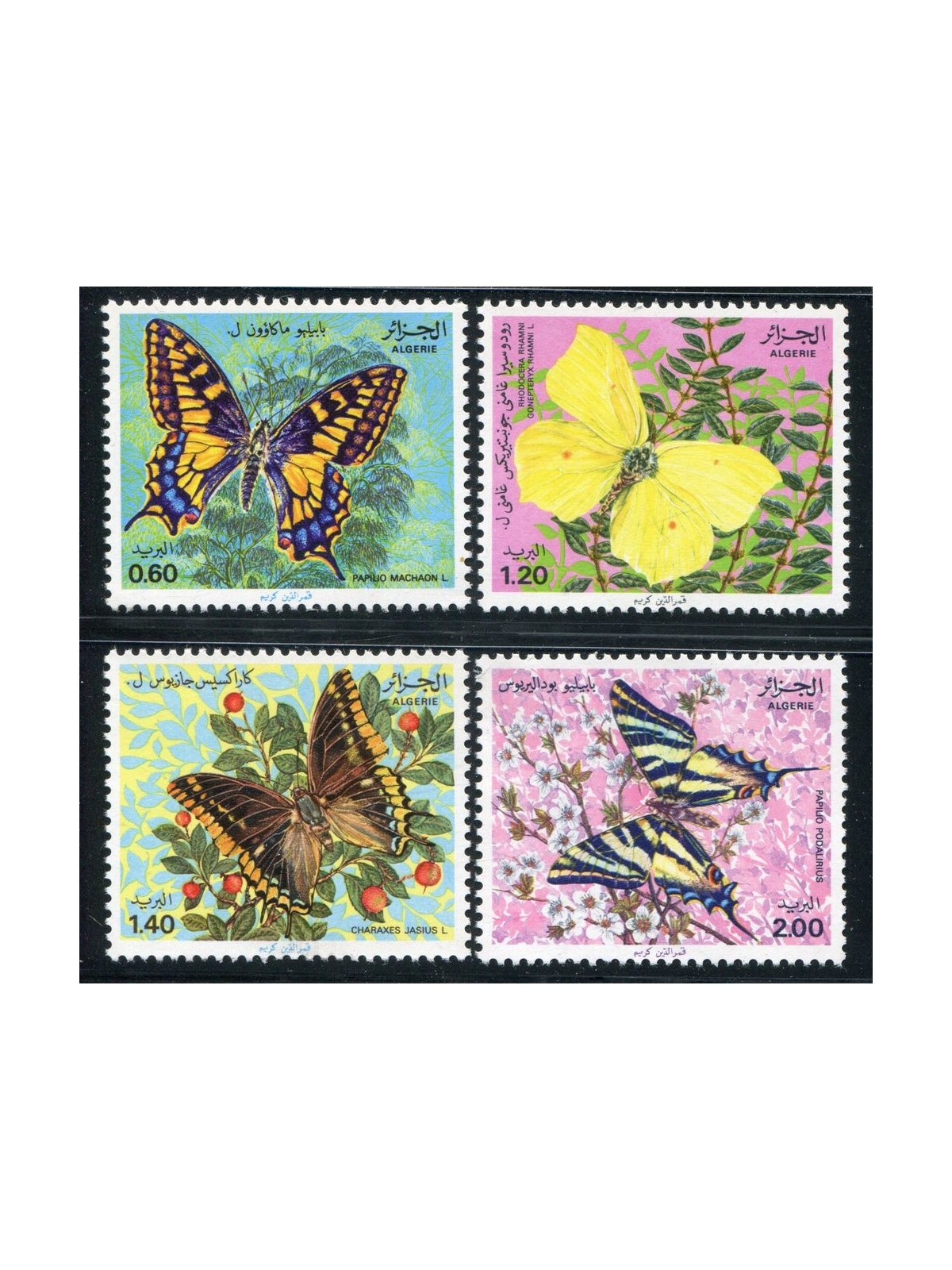ALGERIA 1981 Fauna, farfalle 4v MNH**