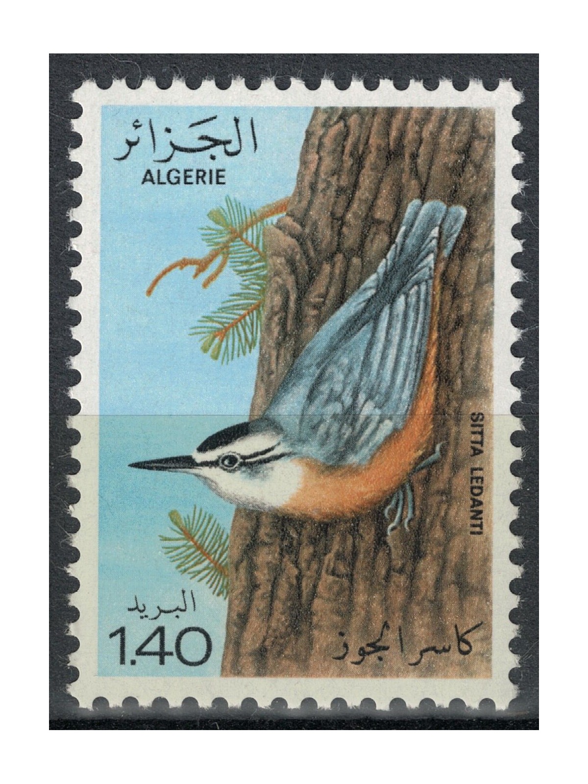 ALGERIA 1979 Sitta ledanti MNH**