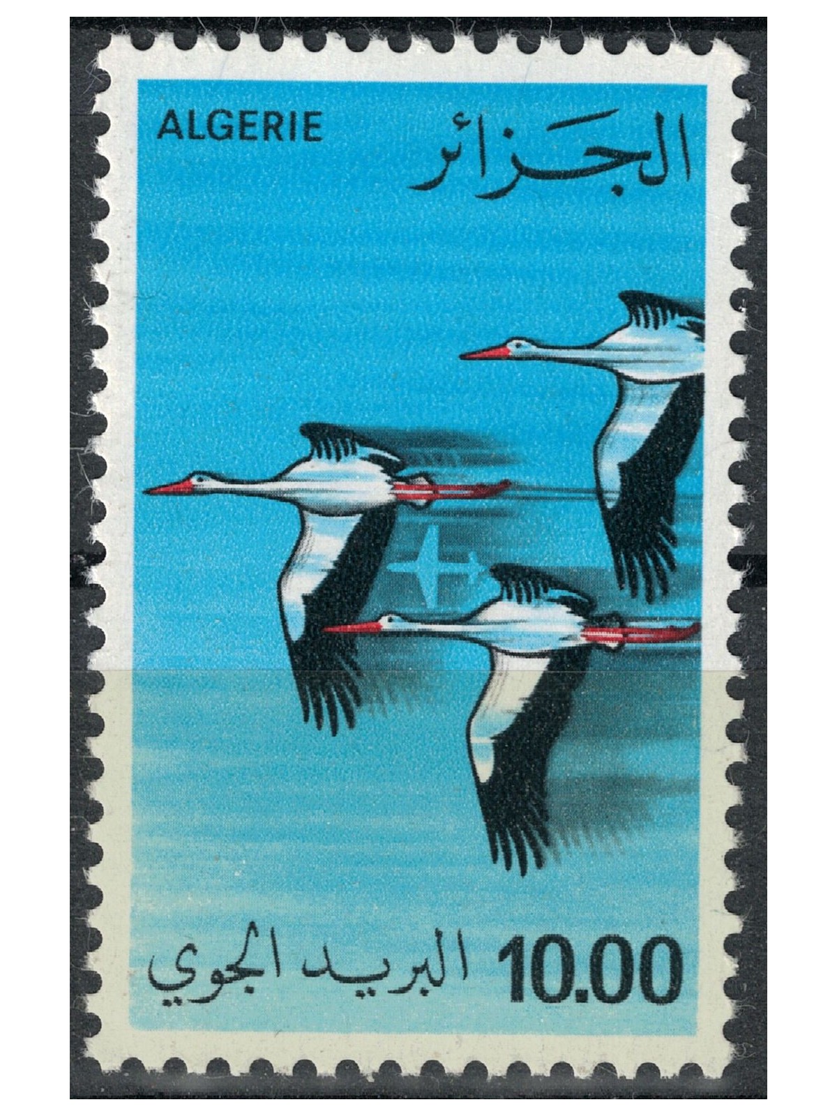 ALGERIA 1979 Volo di cicogne, posta aerea MNH**