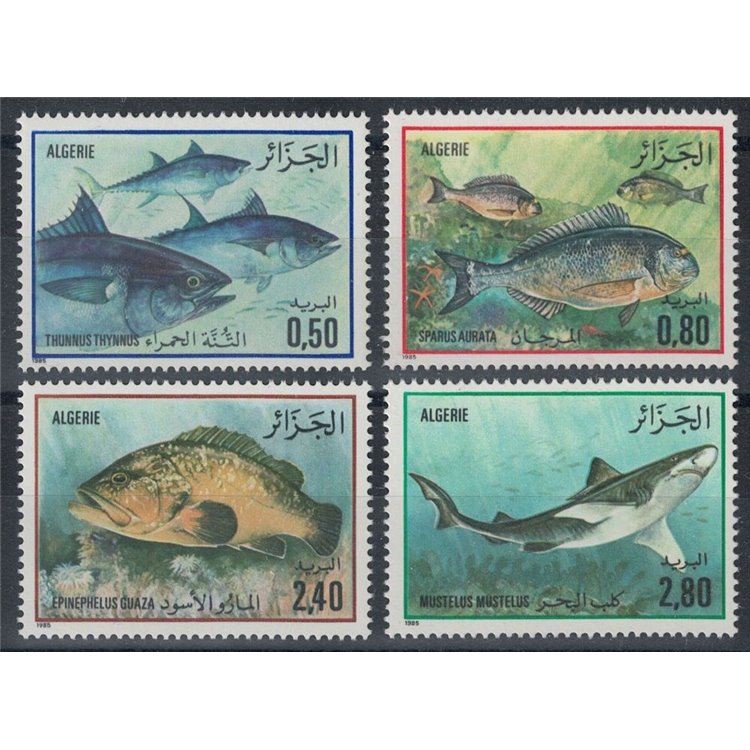 ALGERIA 1985 Fauna, fish of the Mediterranean 4v MNH**