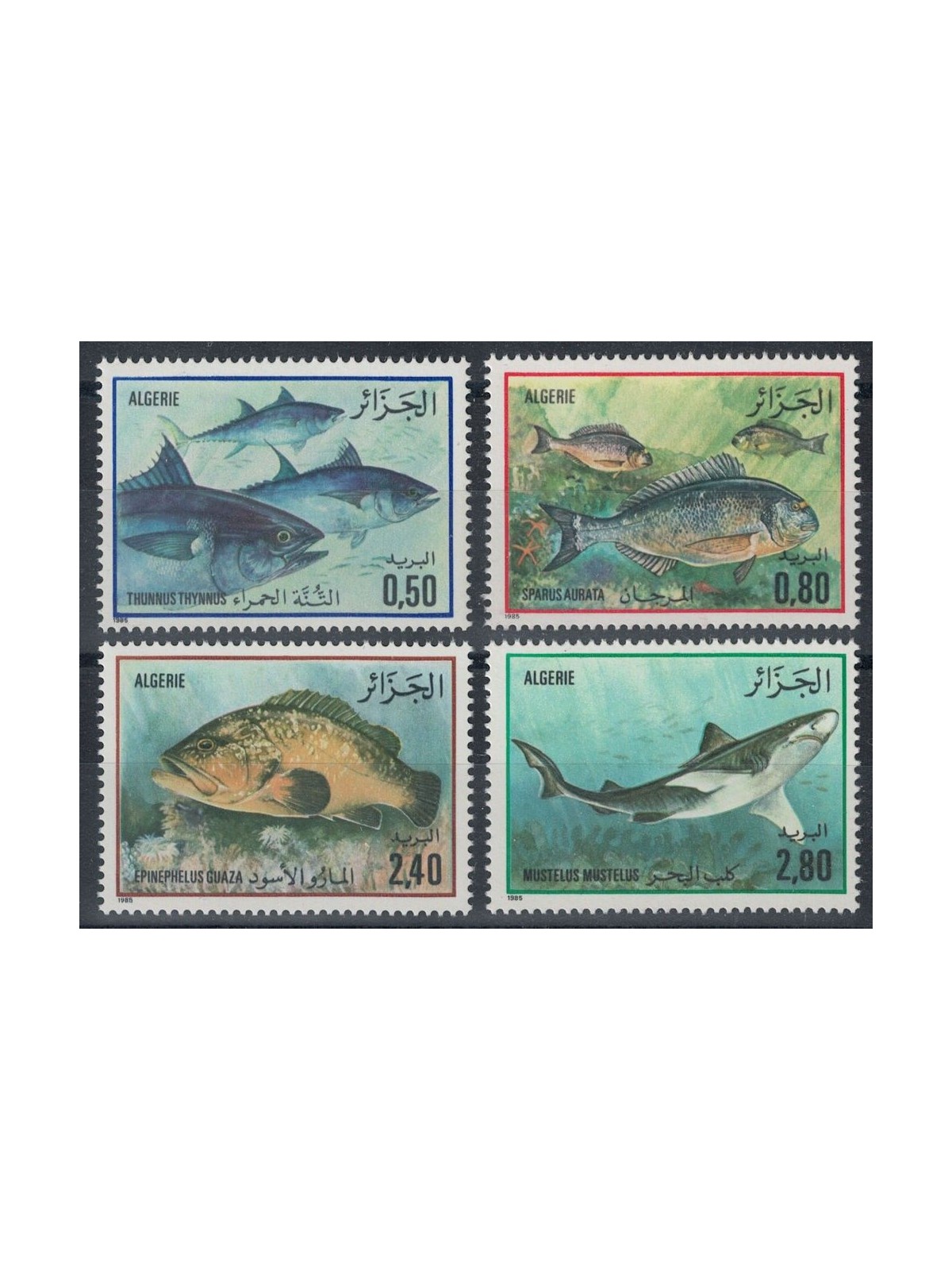 ALGERIA 1985 Fauna, pesci del Mediterraneo 4v MNH**