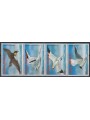 ANTIGUA AND BARBUDA 1996 Fauna, sea birds (II) 4v MNH**