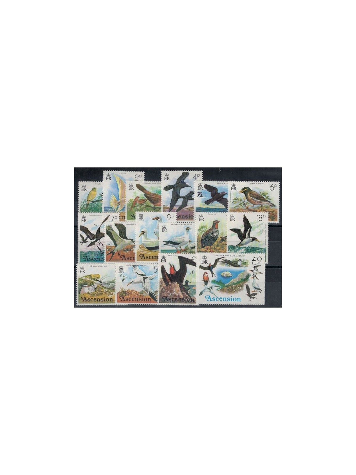 ASCENSION 1976 Serie ordinaria, uccelli 16v MNH**