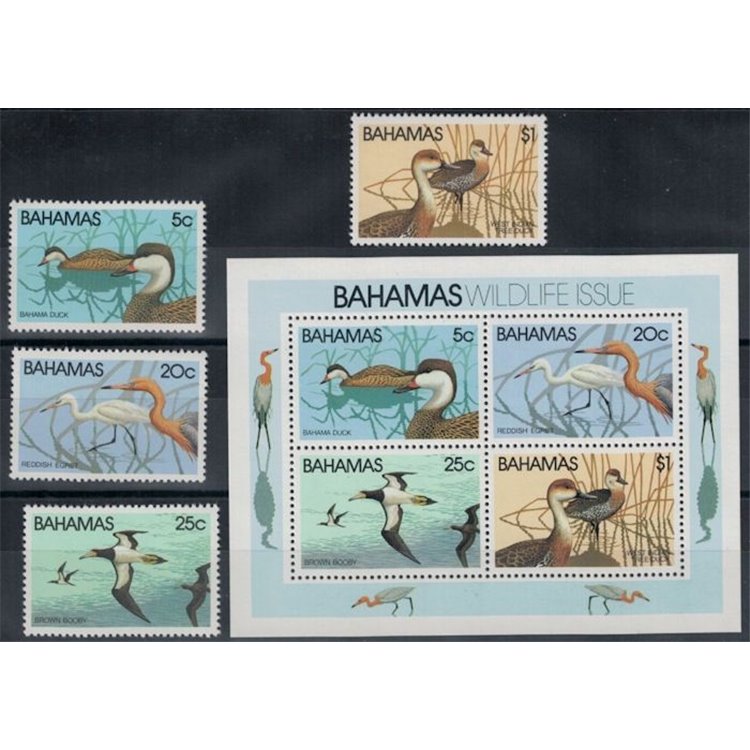 BAHAMAS 1981 Fauna, uccelli 4v + 1 BF MNH**