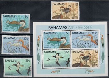 BAHAMAS 1981 Fauna, uccelli 4v + 1 BF MNH**