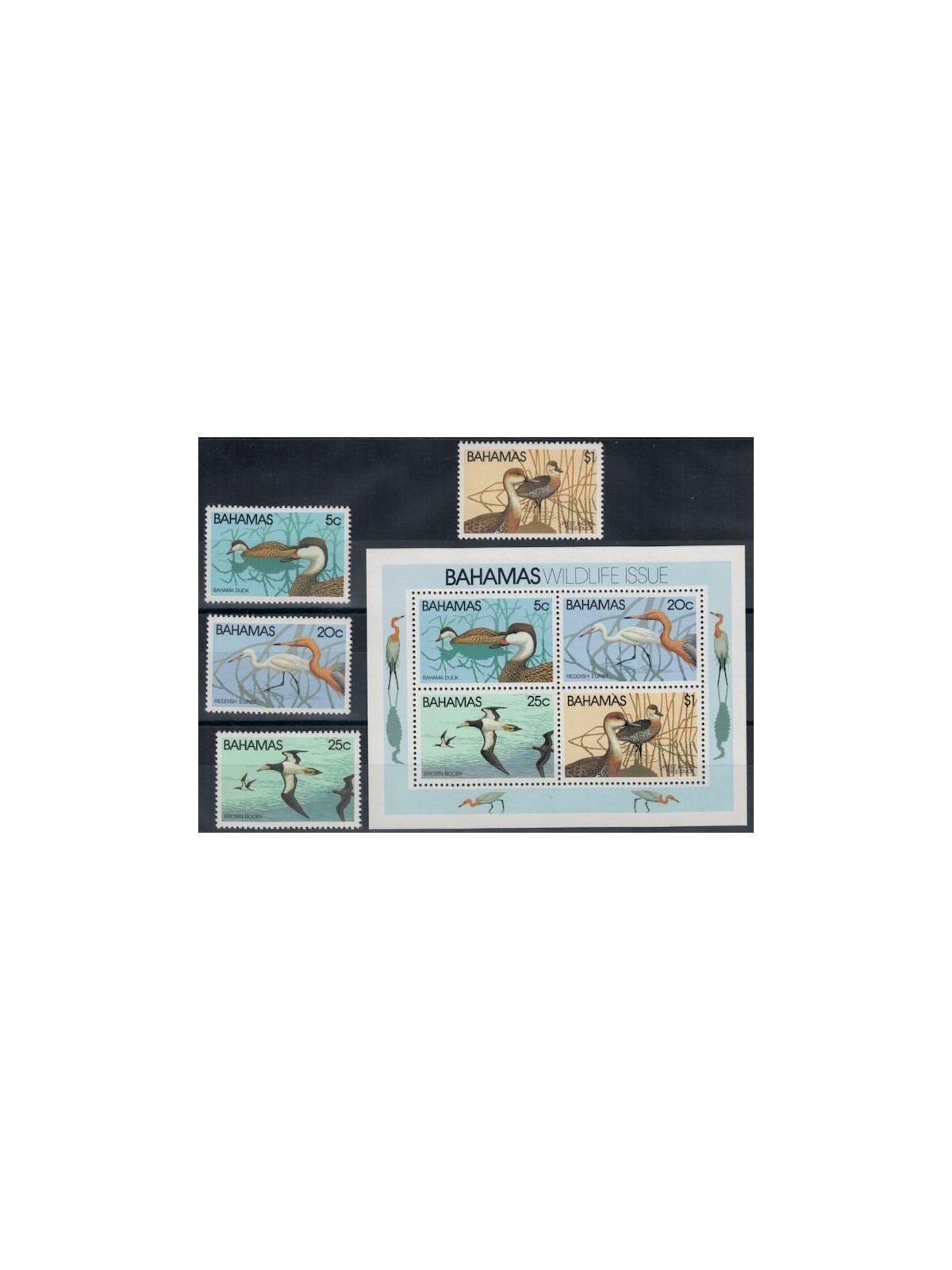 BAHAMAS 1981 Fauna, birds 4v + 1 s/s MNH**