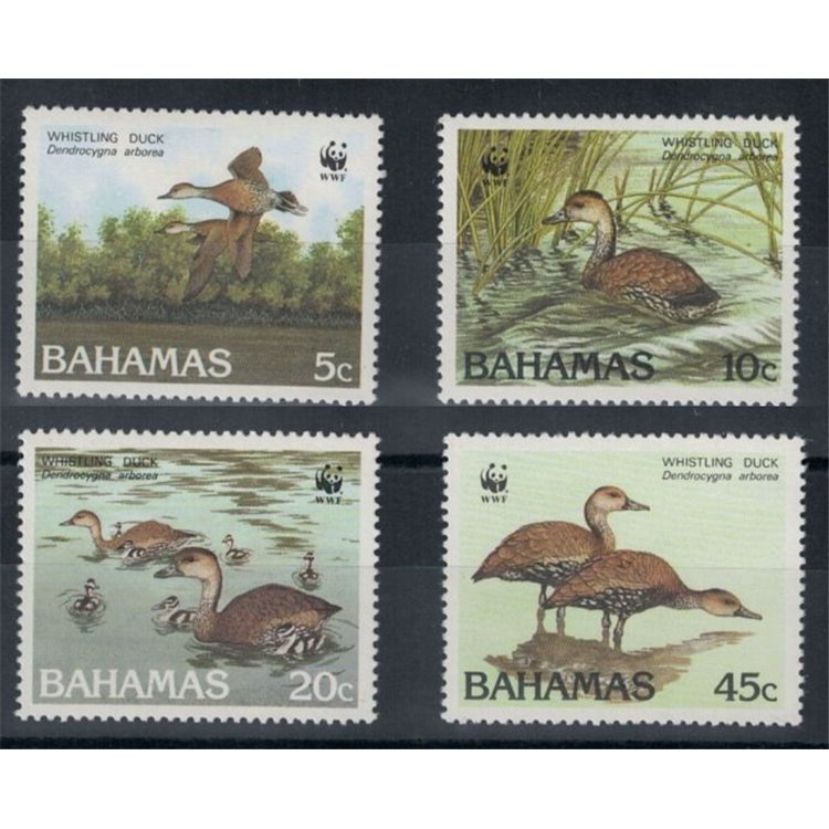 BAHAMAS 1988 Fauna, oche 4v MNH**