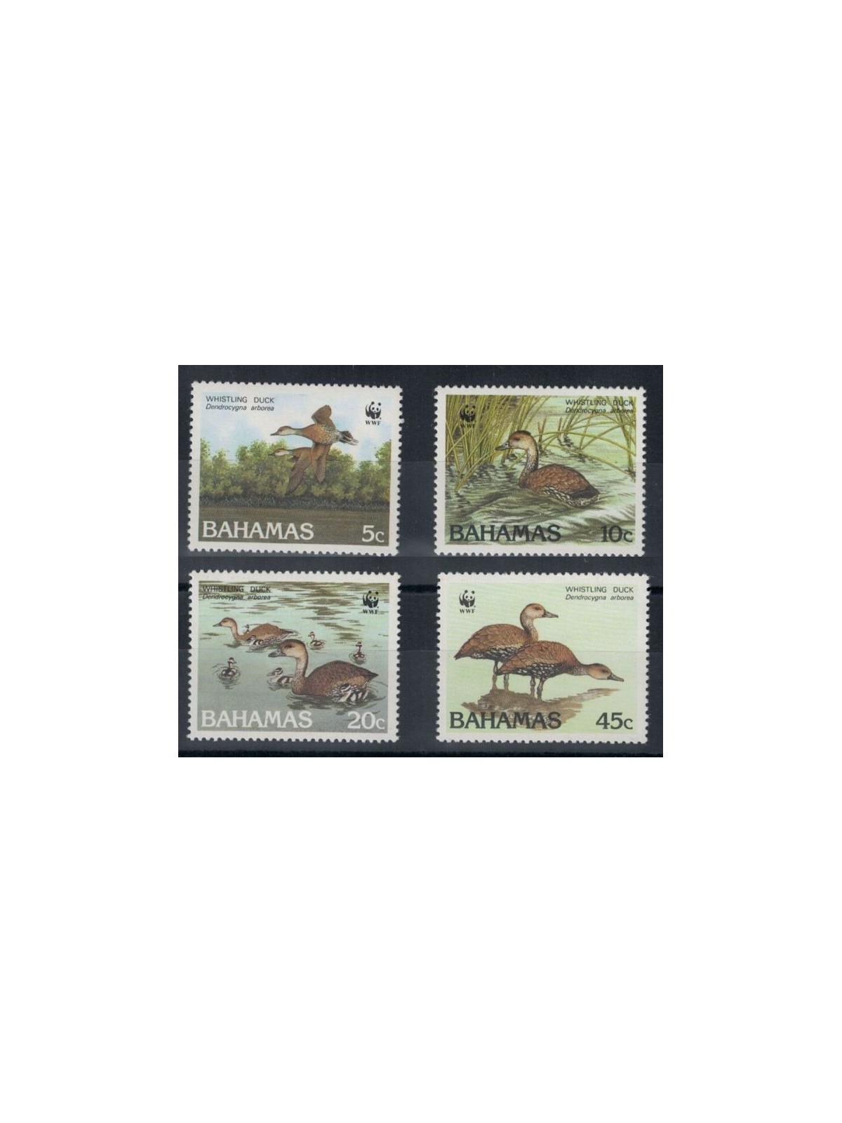 BAHAMAS 1988 Fauna, oche 4v MNH**