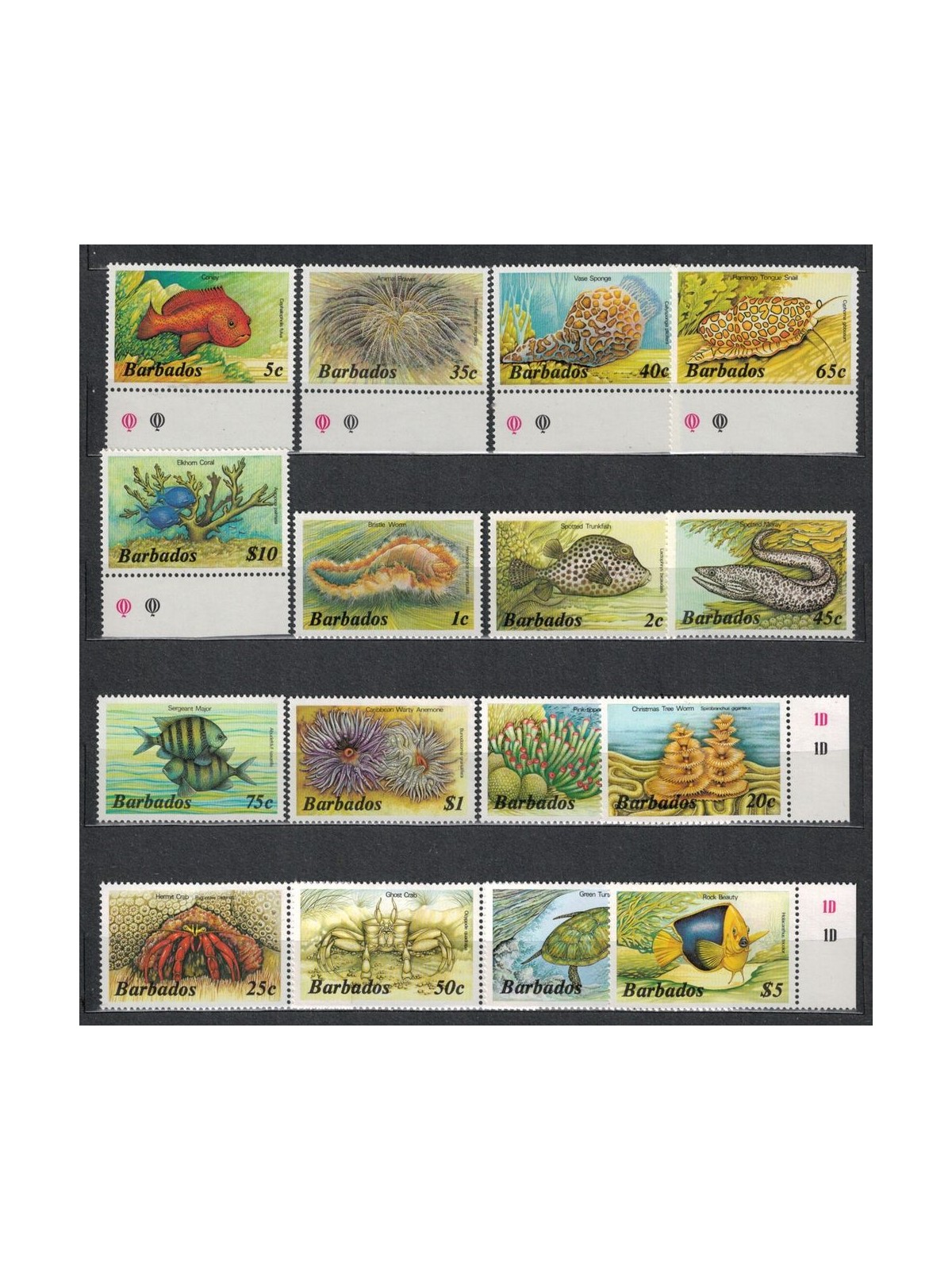 BARBADOS 1985 Vita marina 16v MNH**