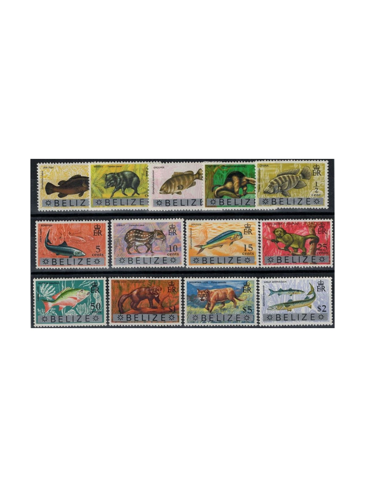BELIZE 1973 Fauna, animals 13v MNH**