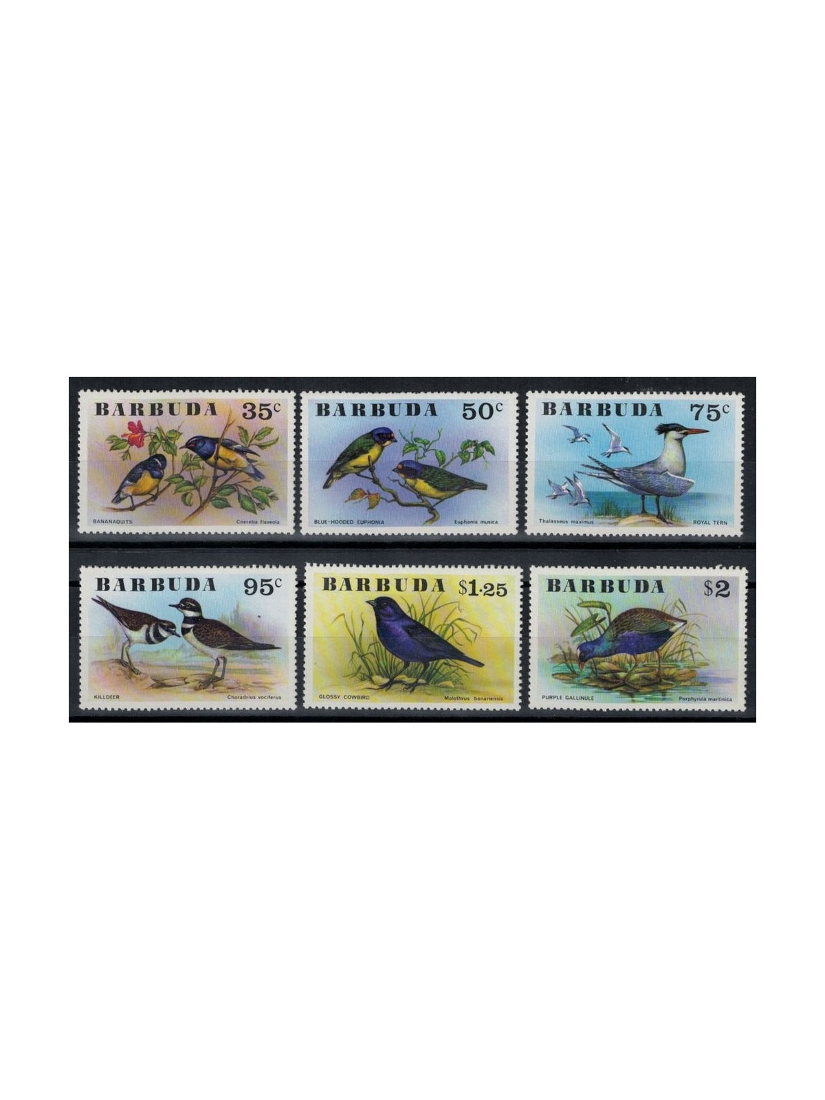 BARBUDA 1976 Uccelli - Birds 6v MNH**