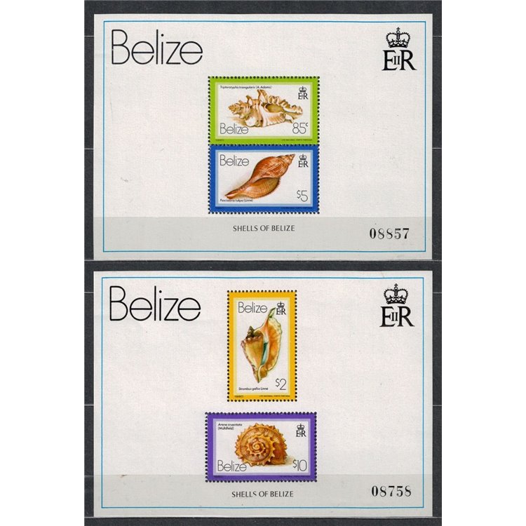 BELIZE 1980 Fauna marina, conchiglie 2 BF MNH**